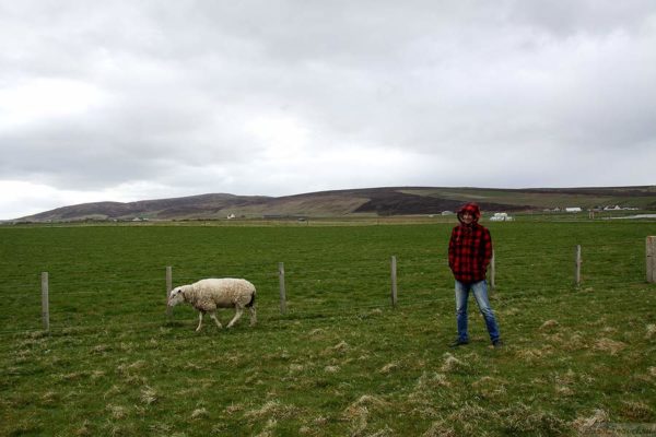 Шотландия. Оркнейские острова. Западный Мейнленд (West Mainland).